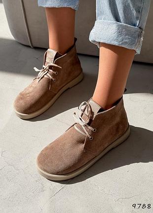 Стильні жіночі черевики