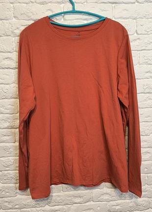 Фірмовий лонгслів