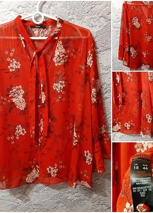 Отличная блузочка большого размера 18