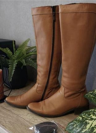 Женские высокие сапоги, демисезонные сапожки.