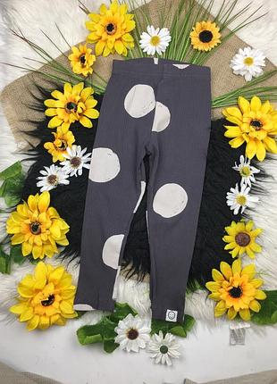 Сірі лосінки на 2-3 роки