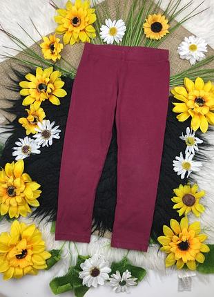 Бордові лосінки на 2-3 роки