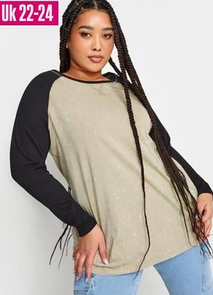 Бежевый лонгслив лонг кофта большого размера батал 892 22 24