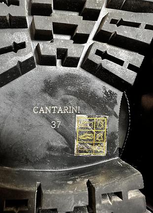 Туфлі cantarini 4