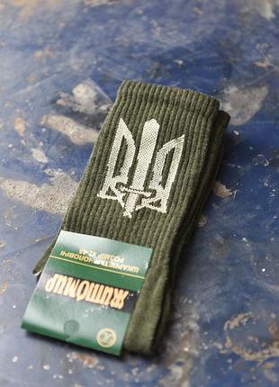 Трекінгові чоловічі шкарпетки з гербом