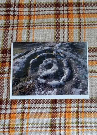 Открытка prehistoric rock art roughting linn