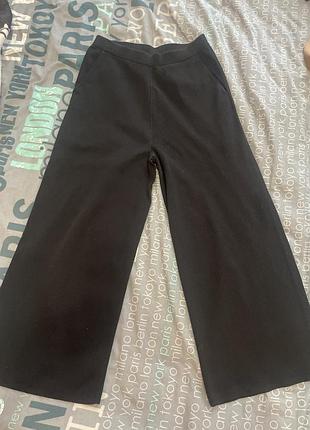 Штани жіночі