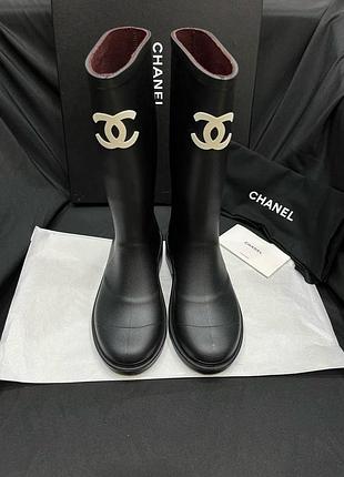 Чоботи жіночі