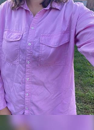 Рожева рубашка, сорочка