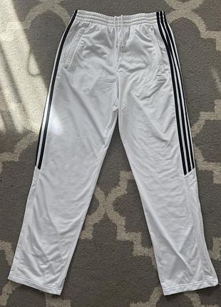 Прямі жіночі штани adidas