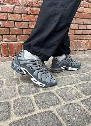 Женские кроссовки nike air max plus tn grey white 8