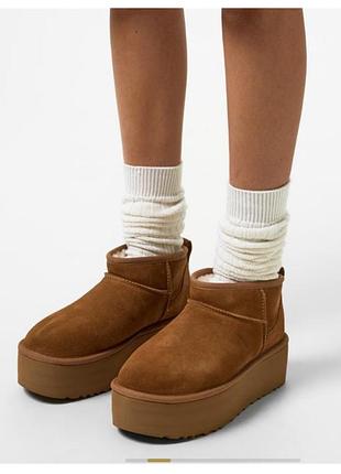 Зимові чоботи дутики уги сапоги натуральна шкіра ugg jack wills