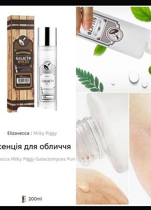 Elizavecca galacto myces pure essencia эссенция для лица