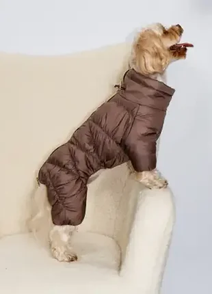 Зимний комбинезон для собак на синтепоне подклад флис унисекс на змейке