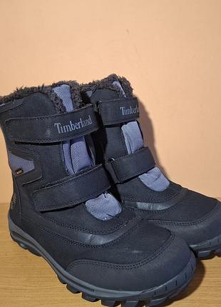 Жіночі черевики timberland