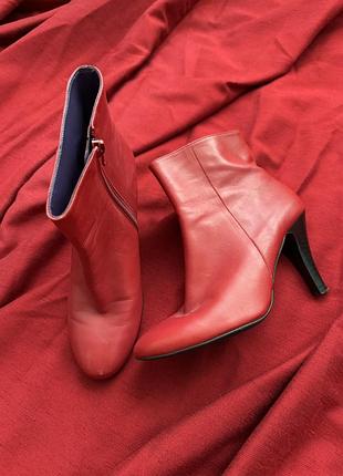 Стильные сапоги ботинки
