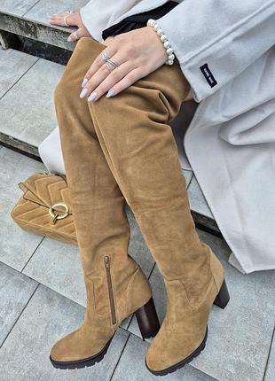 Ботфорти жіночі what for з натуральної замші (tracy)