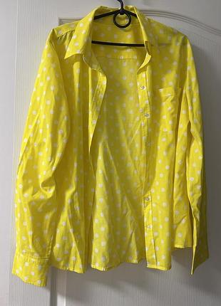 Рубашка в горошек