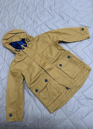 Котонова вітровка