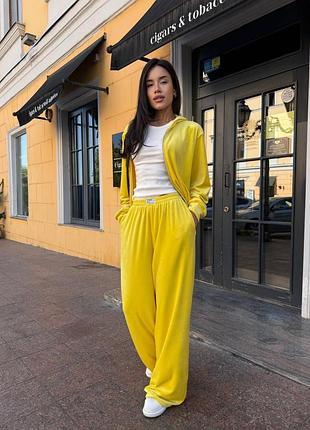 Женский стильный костюм двойка из велюра