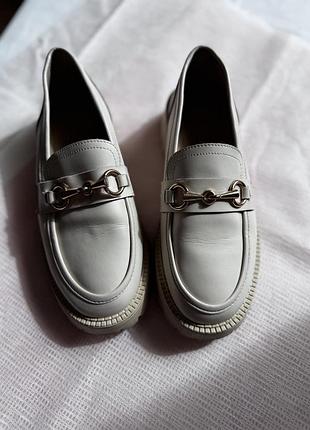 Лофери молочні