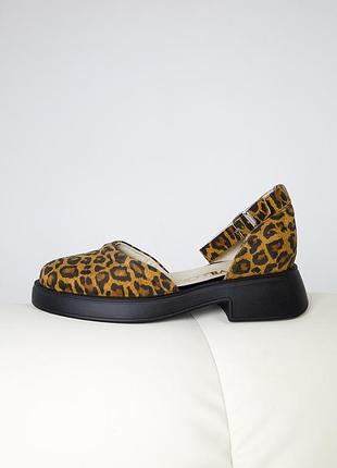 Замшеві відкриті туфлі леопардові | 80466