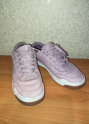Шкіряні кросівки clarks