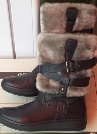 ( 36 р ) geox - кожаные сапоги новые италия3 фото