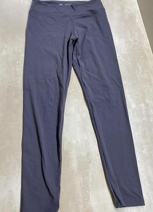 Лосины легенсы