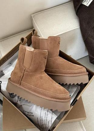 Жіночі угг челсі платформа коричневі замша міні ugg chelsea platform tractor chestnut
