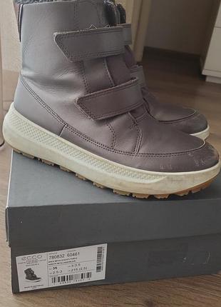 Зимние ботинки ecco solice k, 35р (23 см стелька)