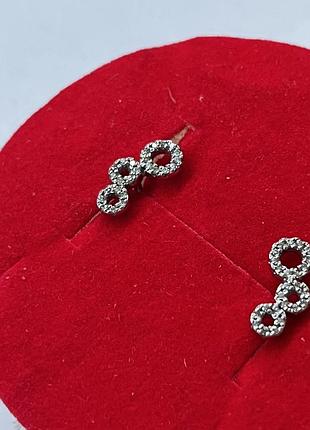 Сережки гвоздики