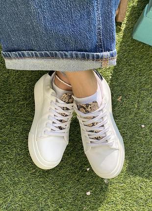 Брендові стильні кеди на платформі із зміїним принтом