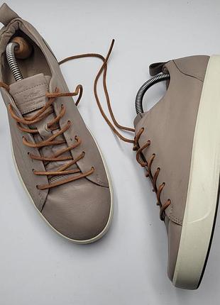 Туфлі-кеди шкіряні від бренду 
ессо