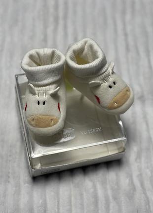 Нові тапулі