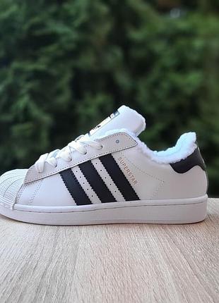 Зимові кросівки adidas superstar білі з чорним