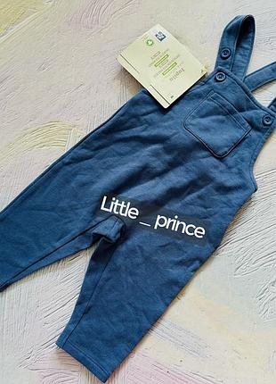 Утеплений комбінезон lupilu