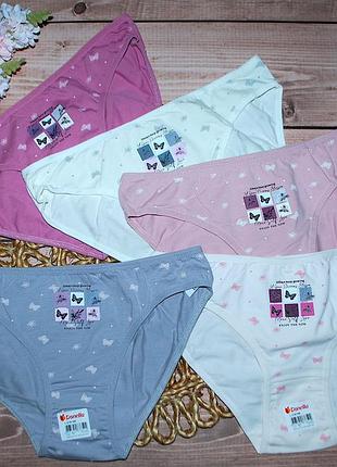 Набір 5 шт трусики сліпи л донелла donella метелики