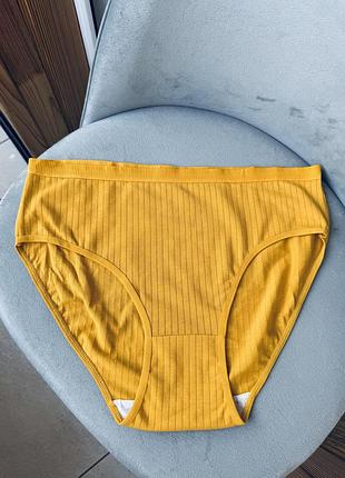 Жіночі трусики сліпи віскоза хл висока посадка широкий рубчик