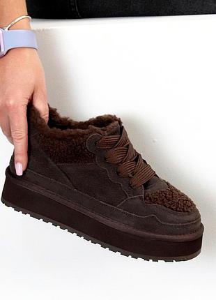 Теплые спортивные замшевые угги тедди на шнуровке цвет шоколад