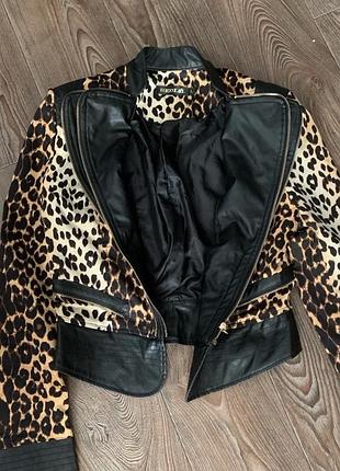 Леопард косуха