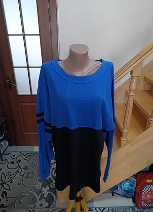 Лонгослив гарний