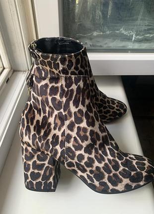 Черевикі лео dorothy perking