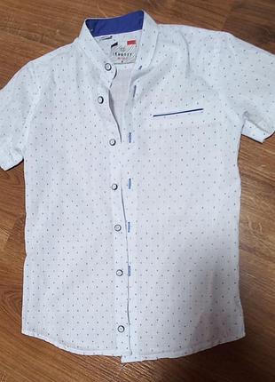 Рубашка на мальчика ложится по фигуре на возраст+-8р