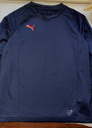 Реглан, світшот, кофта puma