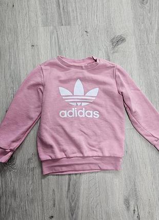 Фирменная кофта adidas