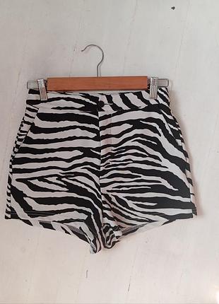 Шорты зебра, шорты с принтом, принтованные шорты зебра