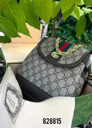 Рюкзак монограмм гуч, коробка, документы