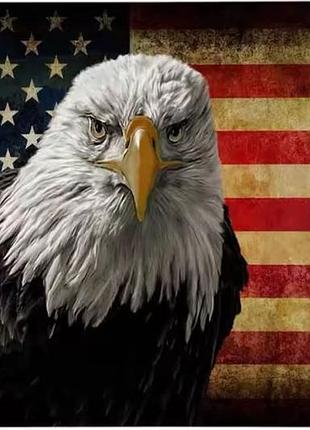Металлическая винтажная табличка «американский орел» 14х20 см