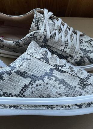 Кожаные кеды clarks оазмер 38